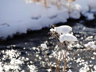 Vakantiehuis Hasselfelde Omgeving 15