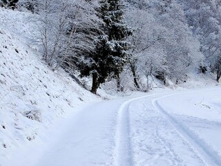 Casa de vacaciones Hasselfelde Entorno 17