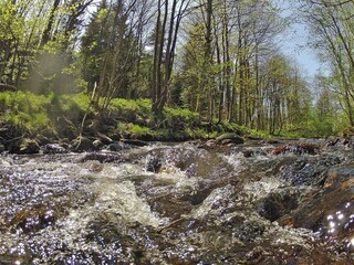 Casa de vacaciones Hasselfelde Entorno 17