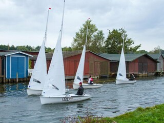 Appartement Plau am See Omgeving 15