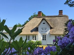 reetgedecktes Ferienhaus in Humptrup-ehem. TUI - Humptrup - image1