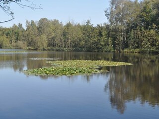 Vakantiehuis Langenhorn (Nordfriesland)  21