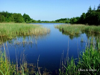 Casa de vacaciones Langenhorn (Nordfriesland)  21