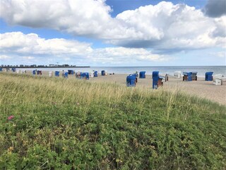 Appartement Olpenitz Environnement 43