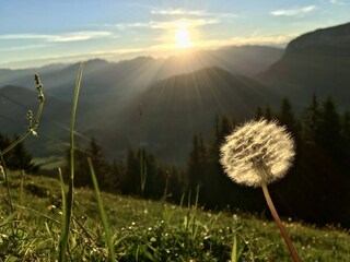 Appartamento per vacanze Going am Wilden Kaiser Ambiente 17