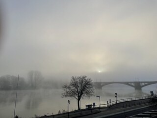 Ein stimmungsvoller Frühlingsmorgen an der Mosel