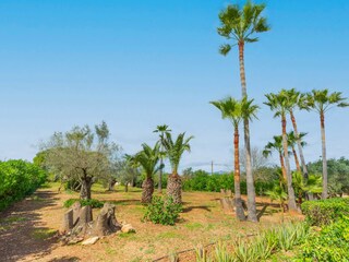 Villa Marratxí Registrazione all'aperto 12