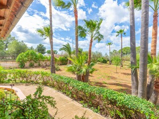 Villa Marratxí Registrazione all'aperto 23