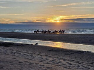 Appartamento Koksijde Ambiente 15