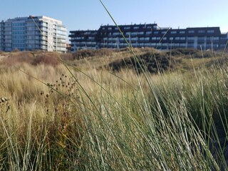 Appartement Koksijde Omgeving 22