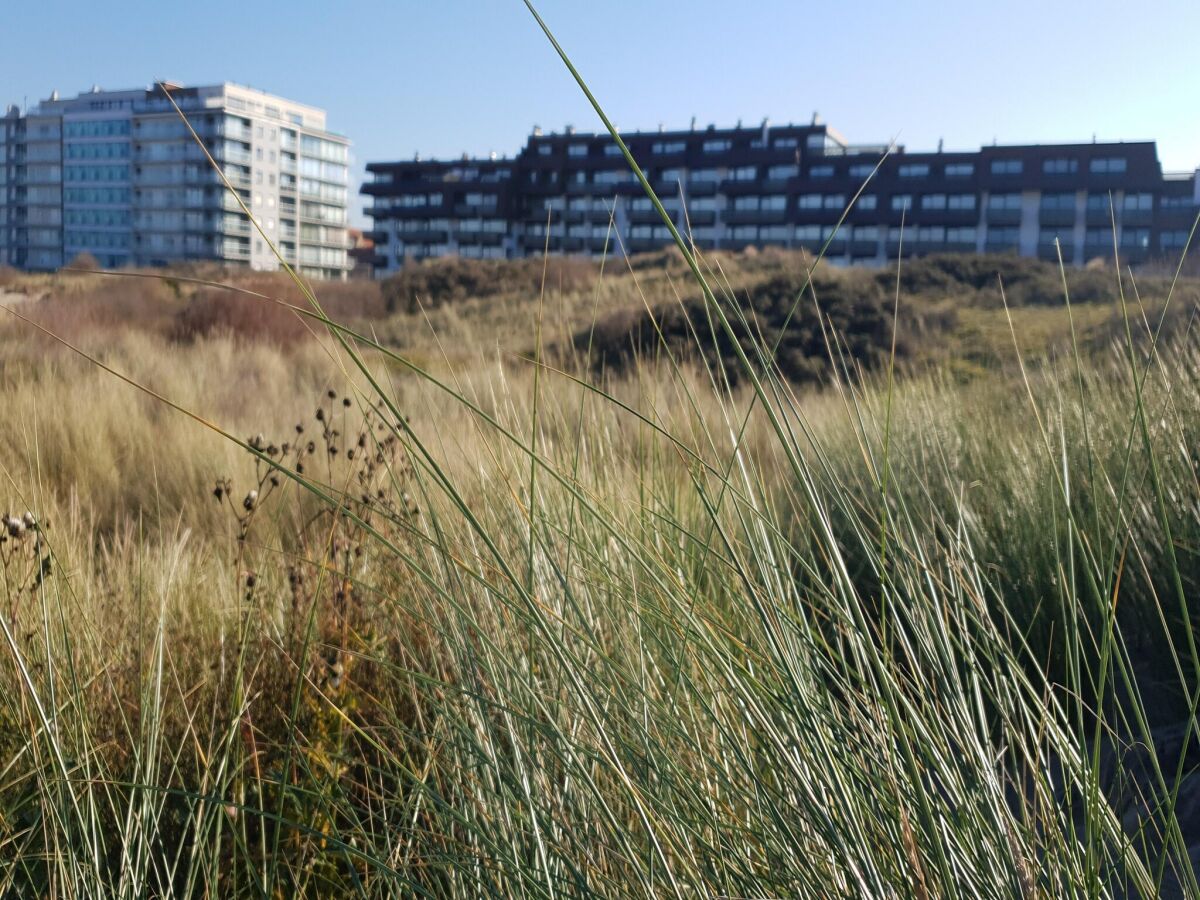 Apartment Koksijde Umgebung 20