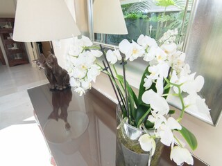 Villa Marratxí Caratteristiche 19