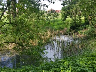 Ferienwohnung Löwenberger Land Außenaufnahme 8