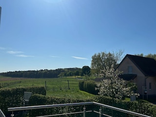Blick vom Balkon