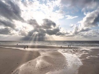 Appartement St. Peter-Ording Omgeving 14
