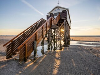 Appartement St. Peter-Ording Omgeving 15
