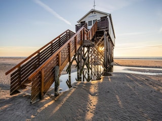 Appartement St. Peter-Ording Omgeving 17