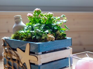 Hausboot Neue Tiefe Ausstattung 15