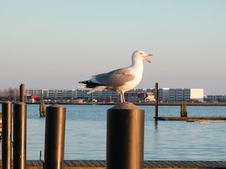 Hausboot Burgstaaken Umgebung 22