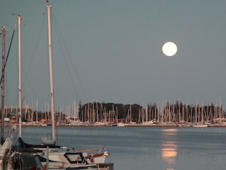 Hausboot Burgstaaken Umgebung 25