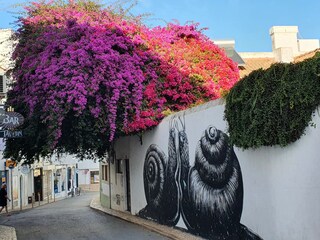 Villa Lagos Environment 24