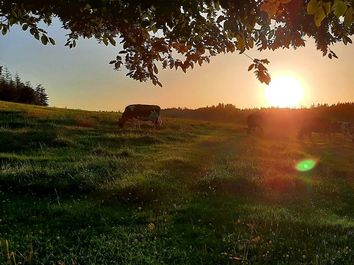 Sommeruntergang an der Hütte