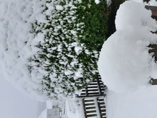 Winterimpression