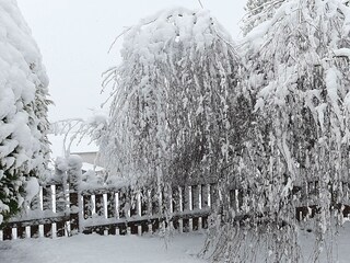 Winterimpression