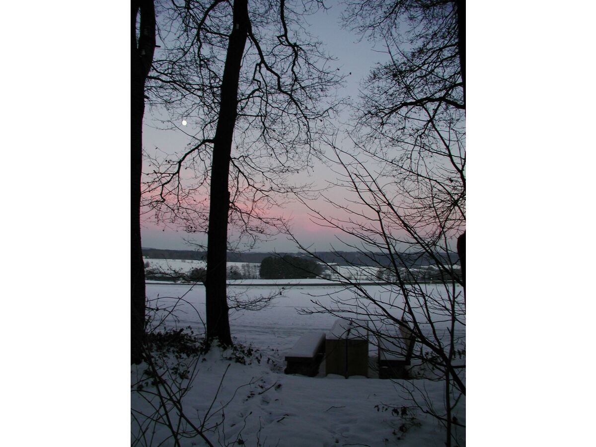 Westerwaldsteig - Abenddämmerung und Mondaufgang b