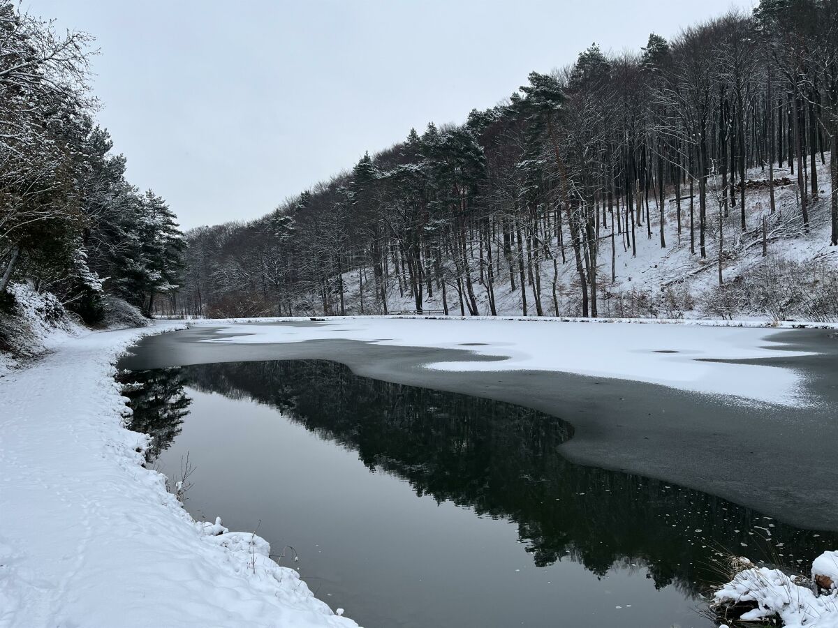 Teich im Winter Foto 2