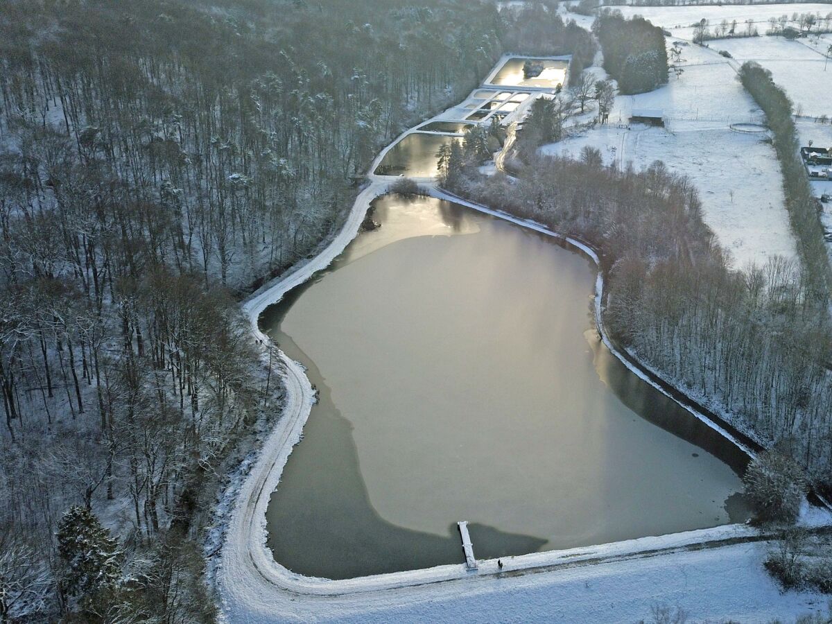 Teichanlage von oben Foto 2