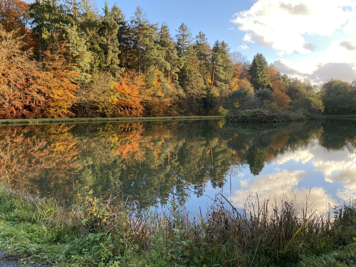 Teich im Herbt