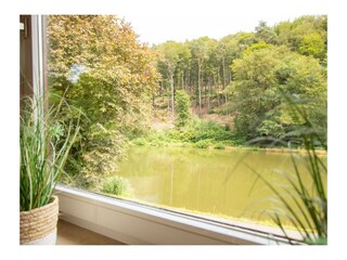 Teichanlage-Kern-Ferienwohnung-18-1200x800