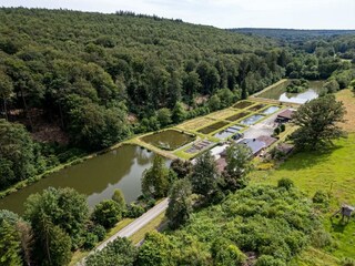 Teichanlage-Kern-Fischbestand-1200x900