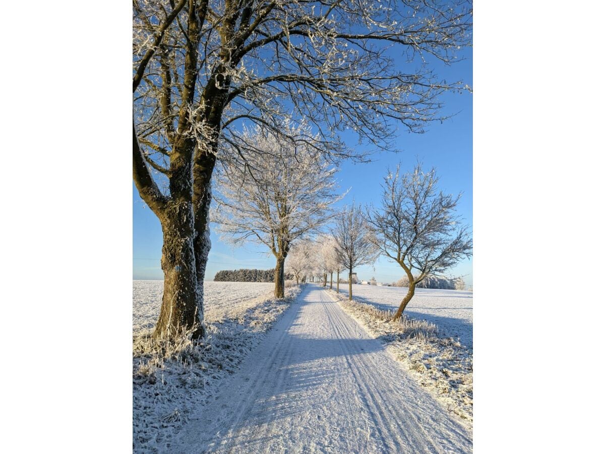 Winterlandschaft rund um Höhn 3