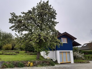 Haus West