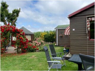 Holiday apartment Ouddorp Outdoor Recording 6