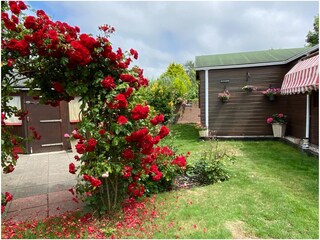 Appartamento per vacanze Ouddorp Registrazione all'aperto 7