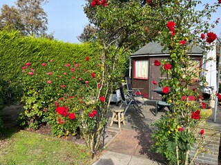 Holiday apartment Ouddorp Outdoor Recording 8