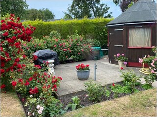Vakantieappartement Ouddorp Buitenaudio-opname 9