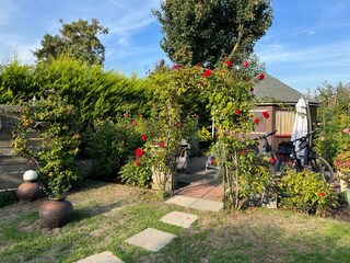Holiday apartment Ouddorp Outdoor Recording 12