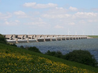 Appartamento per vacanze Ouddorp Ambiente 28