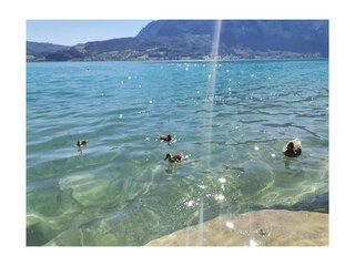 Casa per le vacanze Unterach am Attersee Registrazione all'aperto 10