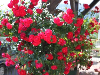 Casa per le vacanze Unterach am Attersee Registrazione all'aperto 12