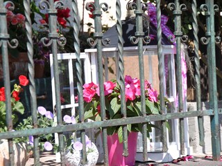 Casa per le vacanze Unterach am Attersee Registrazione all'aperto 13