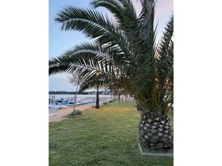 Vakantieappartement Vir Omgeving 19