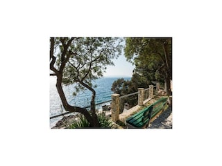 Ferienhaus Potomje Außenaufnahme 4