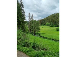Wanderweg in der Nähe des Hauses