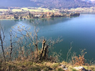 Vakantieappartement Strobl Omgeving 18