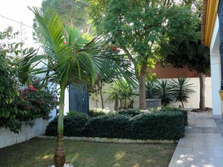 Casa per le vacanze Chiclana de la Frontera Registrazione all'aperto 2